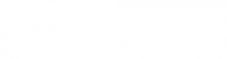 Newcastle-and-Hunter-Logo